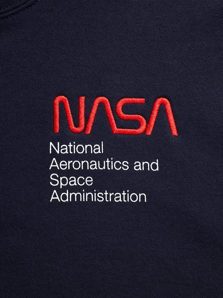 NASA WORM LOGO HOODIE (BLACK)