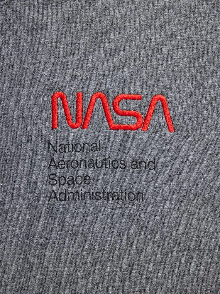 NASA WORM LOGO HOODIE (BLACK)